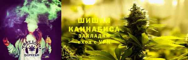 хмурый Арсеньев