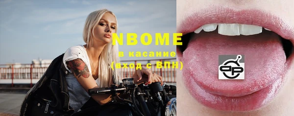 хмурый Арсеньев
