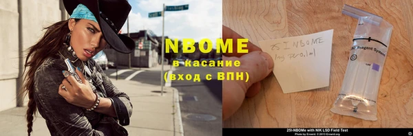хмурый Арсеньев