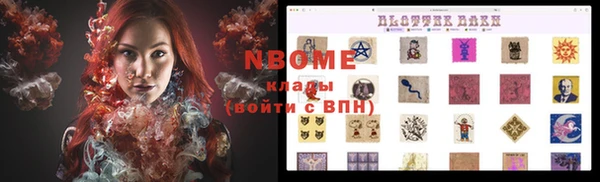 хмурый Арсеньев