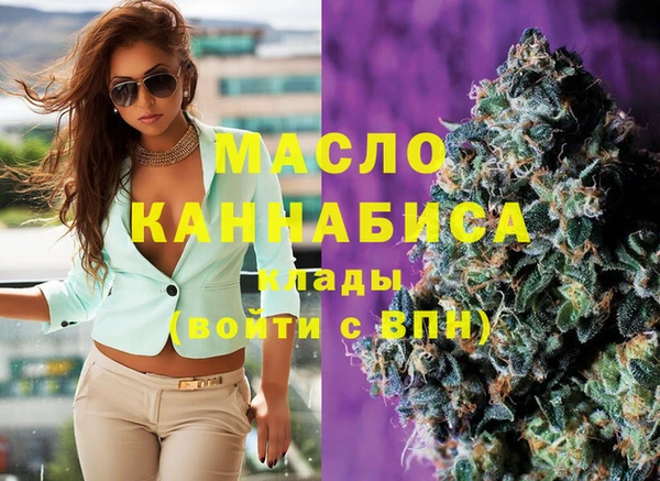 хмурый Арсеньев