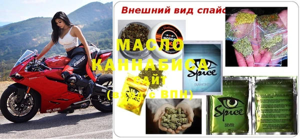 хмурый Арсеньев