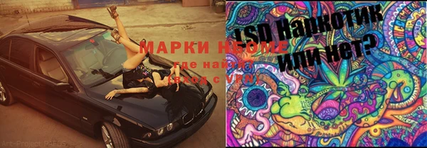 прущие крисы Аркадак