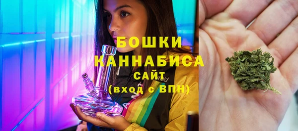 хмурый Арсеньев