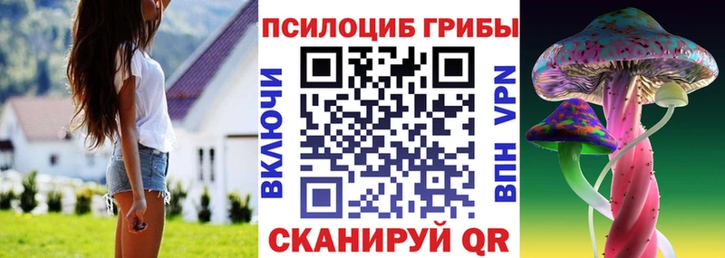 Псилоцибиновые грибы Magic Shrooms  Купить где  Буй 